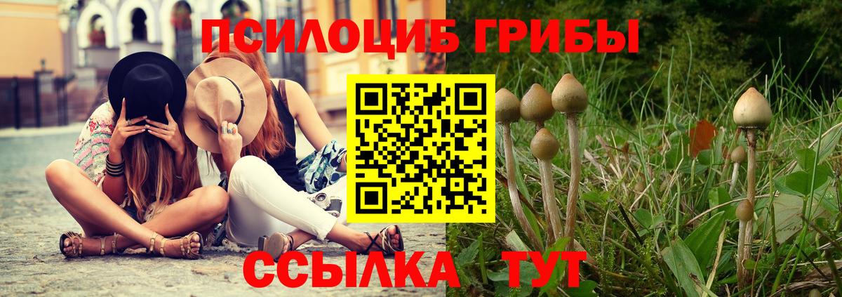 Благодарный  Псилоцибиновые грибы Psilocybe  купить наркоту  Вход с VPN  Галлюциногенные грибы ЛСД 
