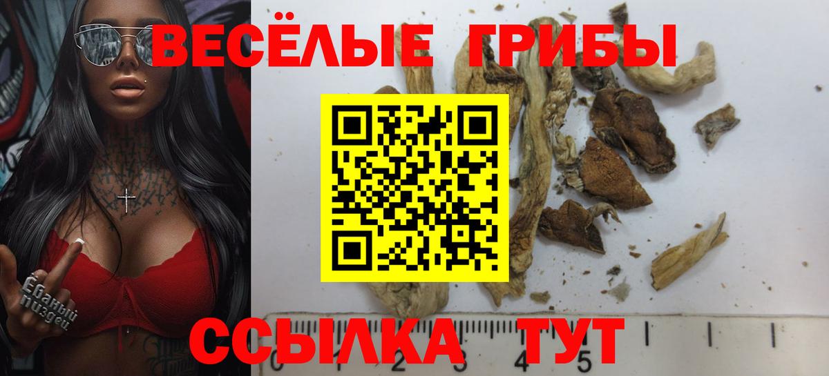 Псилоцибиновые грибы MAGIC MUSHROOMS Благодарный